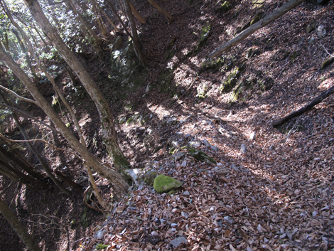 20161206hike (444)